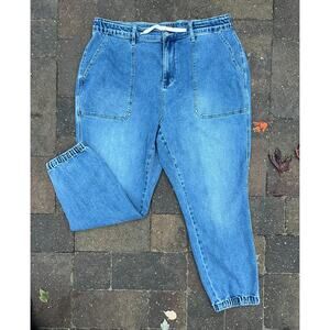 Judy Blue high rise jogger jeans plus size 20x28